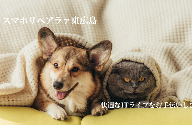 可愛い我が子のデータを守りたい