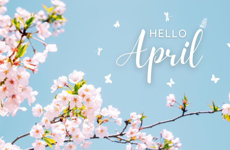 西条のスマホの修理屋といえば